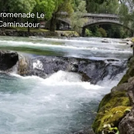 La Tour Xviii *