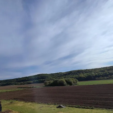 La Tour Xviii